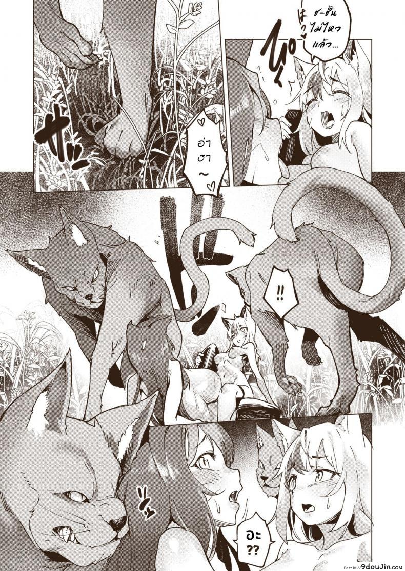 อ่านโดจิน [Tamada Heijun] Yasei Hata แปลไทย หน้าที่ 8
