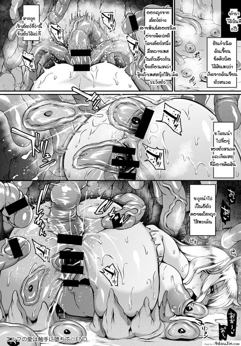 อ่านโดจิน เอลฟ์โดนหนวดตำต่อหน้าผัว [Kazuhiro] Elf no ai ha syokusyu ni ochite แปลไทย หน้าที่ 24