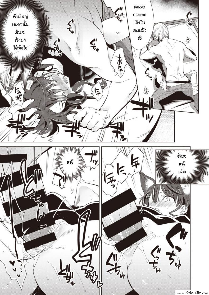 อ่านโดจิน ช่วยแมวน้อยให้หายเงี่ยน [Kayama Kifumi] Kamishiro shonenn no neya (แปลไทย) หน้าที่ 12