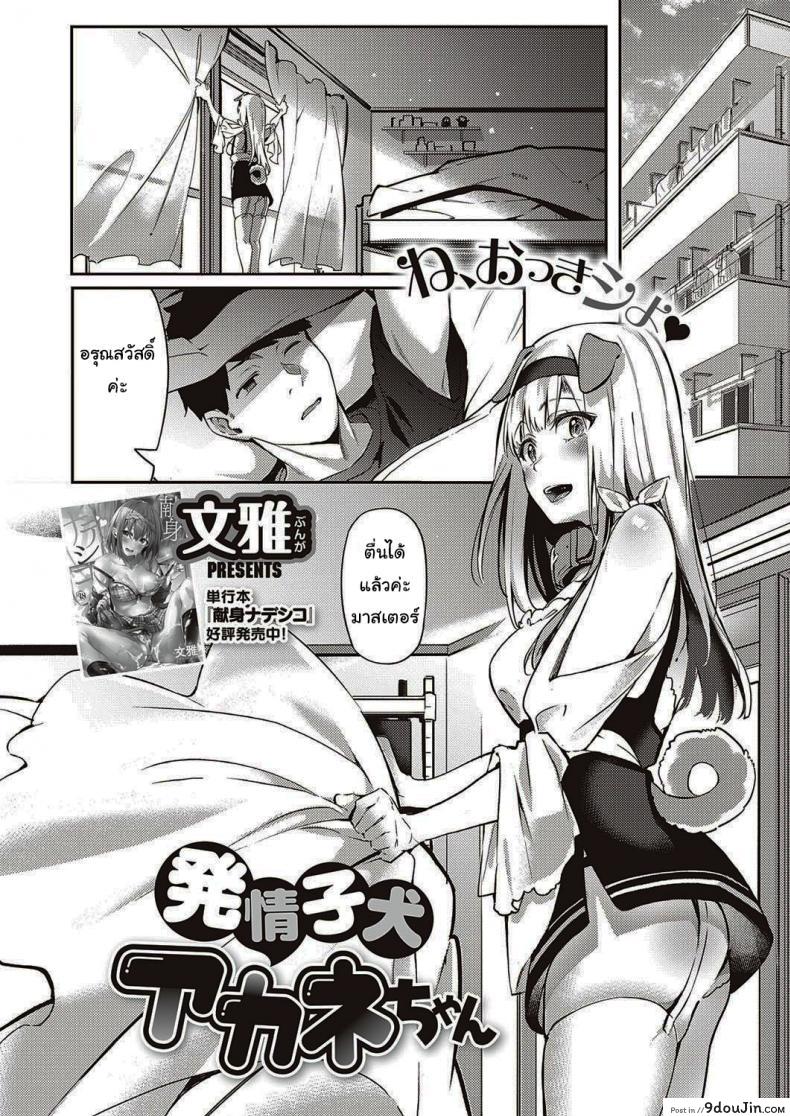 อ่านโดจิน เมดหูสัตว์ของผม [Bunga] Hatsujou Koinu Akane-chan (COMIC ExE 29) หน้าที่ 2