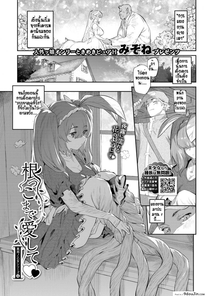 ดรายแอดส์ที่รัก [Mizone] Nekko Made Aishite