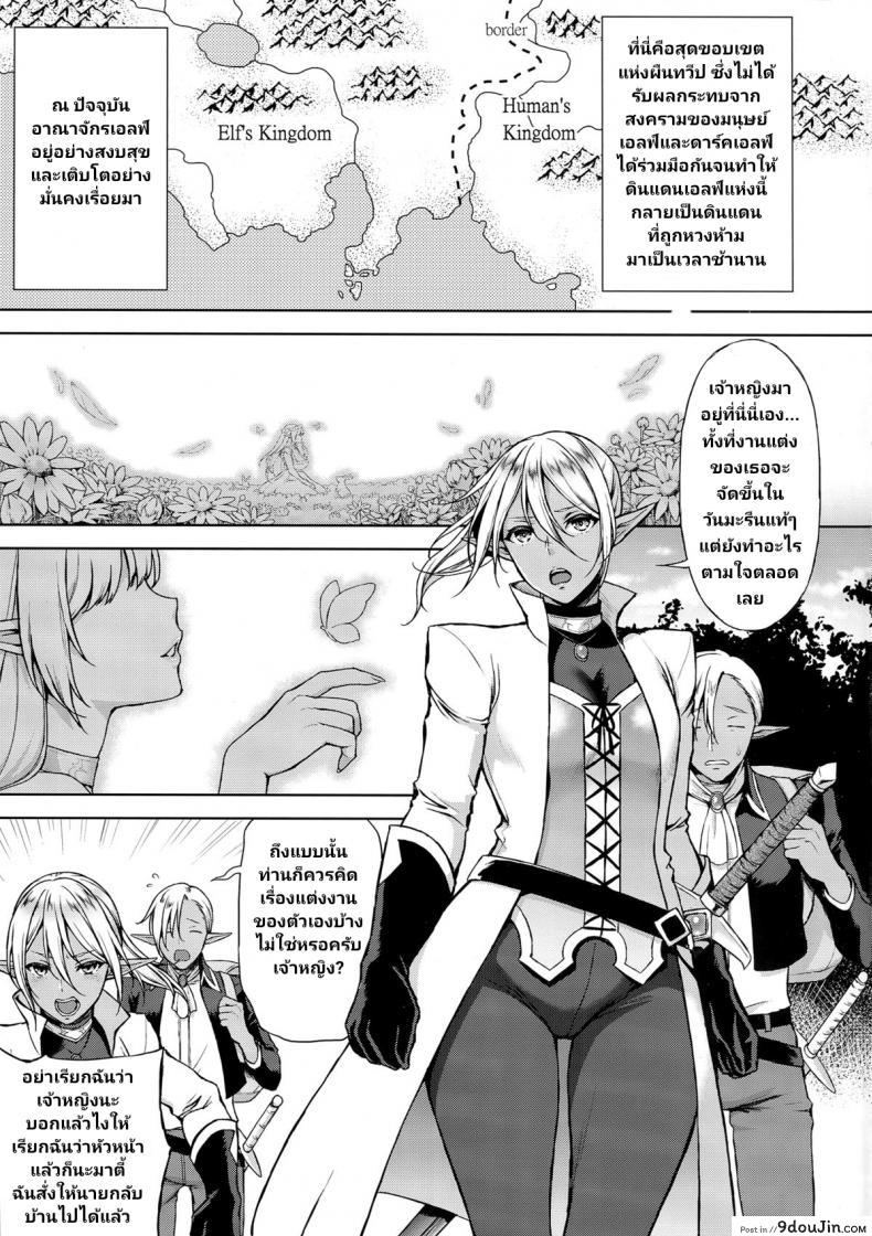 อ่านโดจิน (C87) [H.B.A (Usagi Nagomu)] Elf no Hime wa Kairaku ni Naku หน้าที่ 4