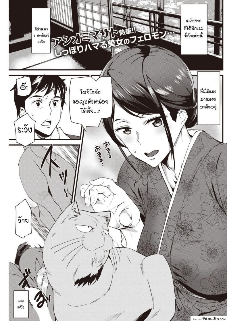 น้องแมวที่บ่อออนเซ็นของคุณนายเจ้าของเรียวกัง .[Ashiomi Masato] Nekoonsen no wakaokami