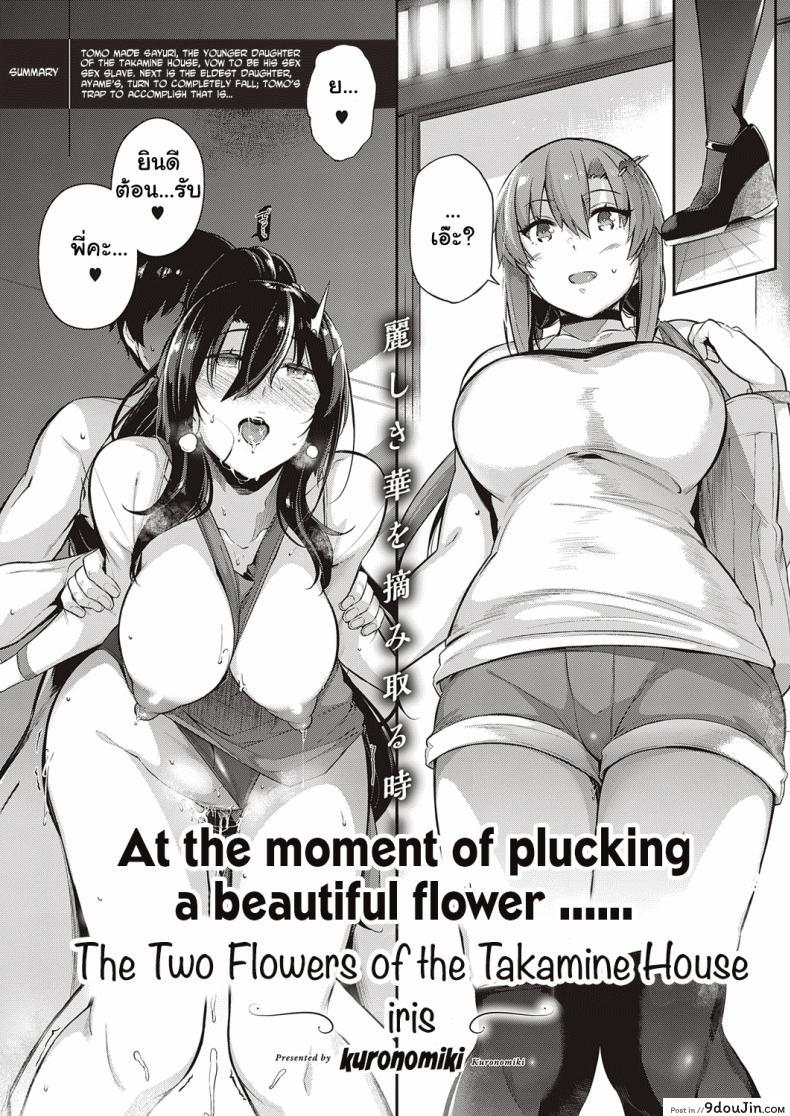 วุ่นรักสาวบ้านทากามิเนะ [Kuronomiki] Takamine-ke no Nirinka  The Two Flowers of the Takamine House ภาค 3