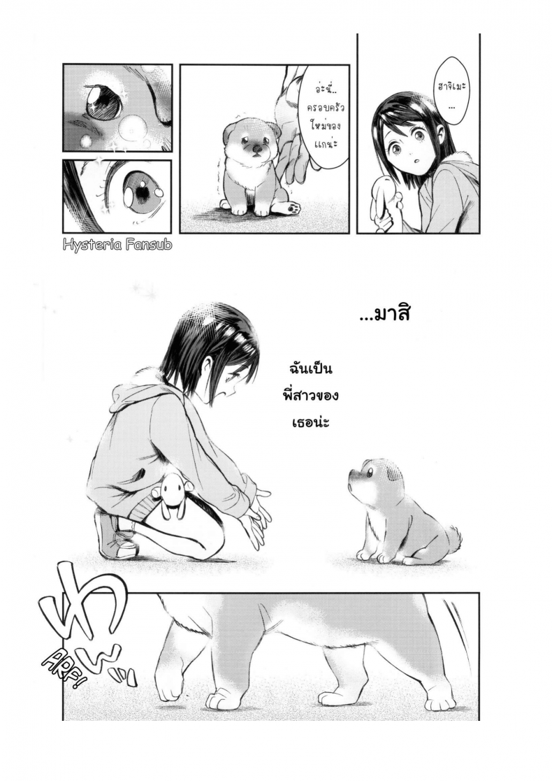 อ่านโดจิน เจ้าหมาโง่ เเกทำให้ฉันดูแย่ (C89) [zero-sen (xxzero)] Inu no Kimochi Ii ภาค 1 หน้าที่ 2