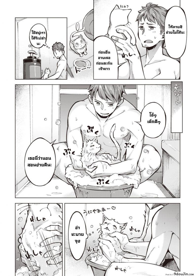 อ่านโดจิน แมวแทนบุญคุณ [Super Zombie] Oshikake Nyanko Nyanko ภาค 2 หน้าที่ 2