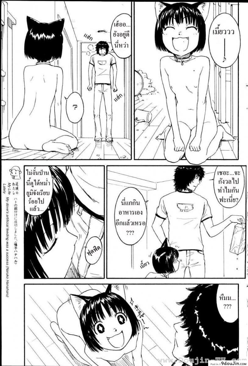 อ่านโดจิน เนเนะ นางแมวสาว [Naruko Hanaharu] Nene ภาค 2 แปลไทย หน้าที่ 13
