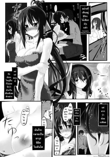 ชาร์ โฮกิ เซซิเลีย (C80) [Himura Nyuugyou (Himura Kiseki)] Yuuzai Shouko Bukken 3-gou (Infinite Stratos) ภาค 2 อ่านฟรี