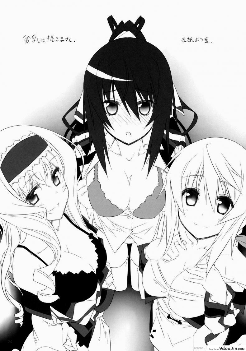 อ่านโดจิน ชาร์ โฮกิ เซซิเลีย (C80) [Himura Nyuugyou (Himura Kiseki)] Yuuzai Shouko Bukken 3-gou (Infinite Stratos) ภาค 2 อ่านฟรี หน้าที่ 11