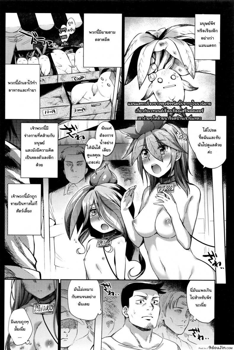 อ่านโดจิน พืชมีชีวิต ผักก็มีหัวใจ [Mizone] Shokubutsu no Sodatekata แปลไทย หน้าที่ 4