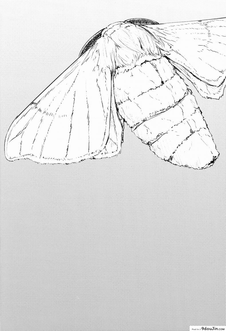 อ่านโดจิน ลำนำรักภูตราตรี (C86) [Sakekan Memorial (SOLOPIPB)] Shiragasane | Layers of White ภาค 2 หน้าที่ 3