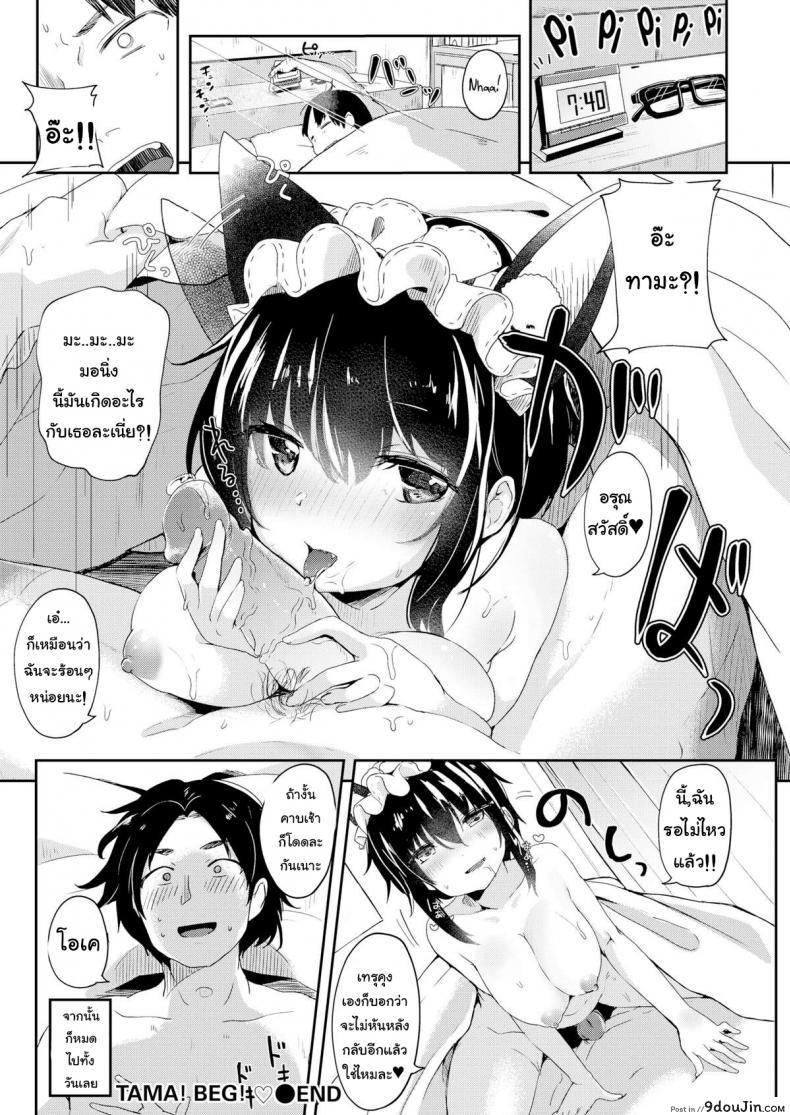 อ่านโดจิน ขอร้องละนะ ทามะจัง [Tamano Kedama] Tama! Beg! แปลไทย หน้าที่ 17
