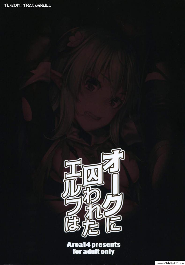 อ่านโดจิน แล้วสอนว่าอย่าไว้ใจอมนุษย์ (COMIC1☆13) [Area14 (Kasei)] Orc ni Torawareta Elf wa หน้าที่ 2