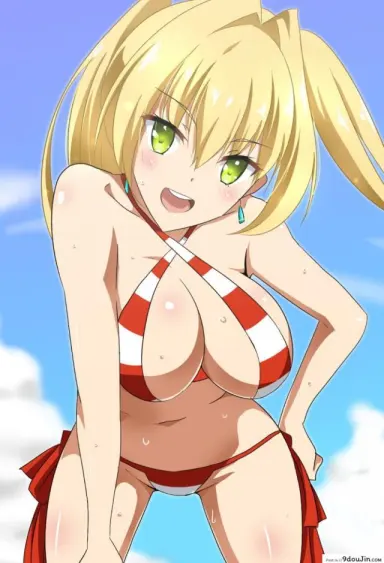 [hara3131] 夜這いネロと水着ネロまとめ อ่านฟรี