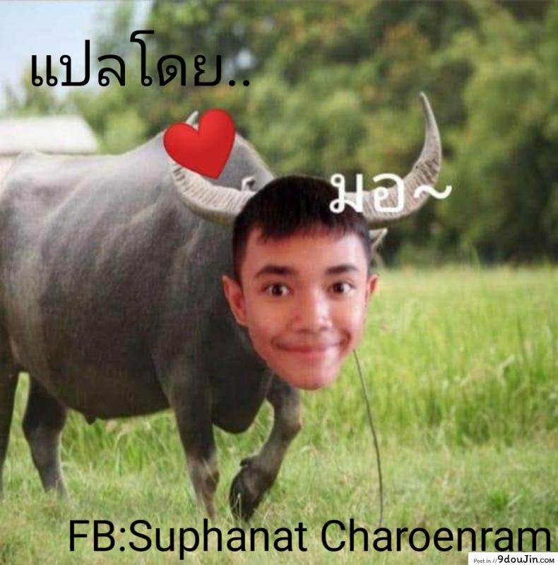อ่านโดจิน วิธีเป็นซุปเปอร์ไซย่าขั้น3 [Drah Navlag] Lets Go Go Big Fuck – How To Stupid แปลไทย หน้าที่ 19