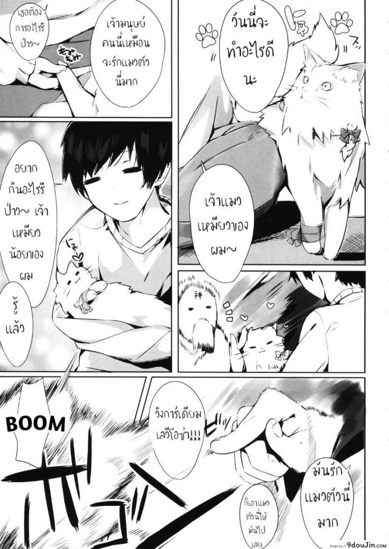 อ่านโดจิน เสกแมวเป็นคน เล่นซนเกินเลย (C95) [AHO-CROSS (Kamioka Chirol)] Mihaku-chan to Icha Love แปลไทย หน้าที่ 4