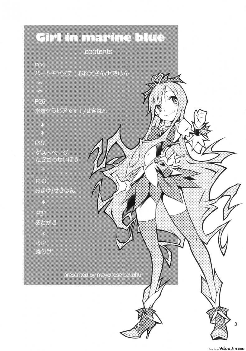 อ่านโดจิน พี่คนนี้เข้าใจดี (C78) [Mayonnaise Bakufu (Sekihan)] Girl in marine blue * (Heart Catch Precure!) หน้าที่ 2