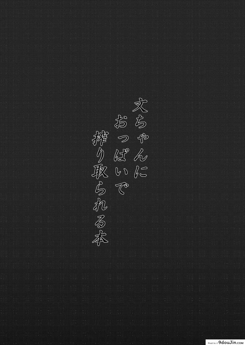 อ่านโดจิน แค่หน้าอกก็หมดตัว (Shuuki Reitaisai 4) [Futeikei Zenzai (Zentam)] Bunchan ni Oppai de Shiboritorareru Hon (Touhou Project) หน้าที่ 2