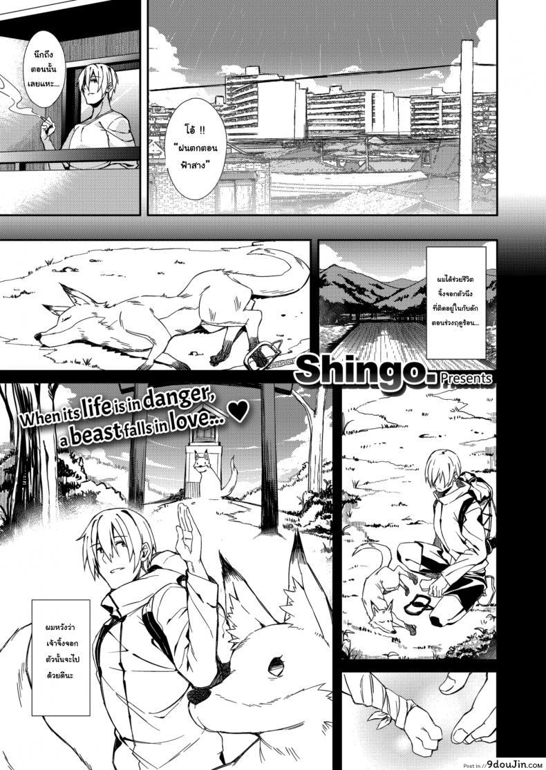 จิ้งจอกขอตอบแทน [Shingo] A Fox’s Requitail