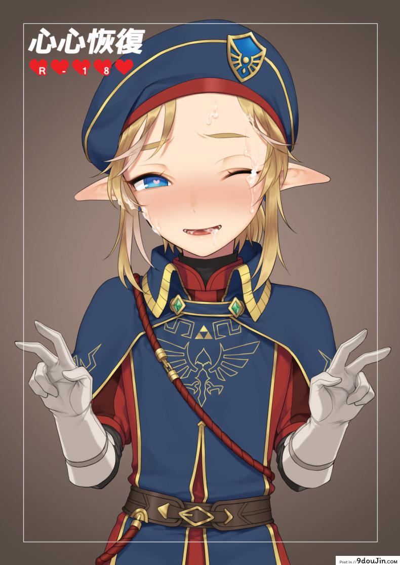 โตเต็มปาก ใหญ่เต็มมือ [broccoholic (MM)] Heart Recovery (The Legend Of Zelda)