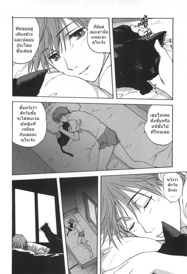 อ่านโดจิน เป็นชั้นได้ซิน่ะ [Mitarashi kousei] Black Cat Crossing หน้าที่ 2