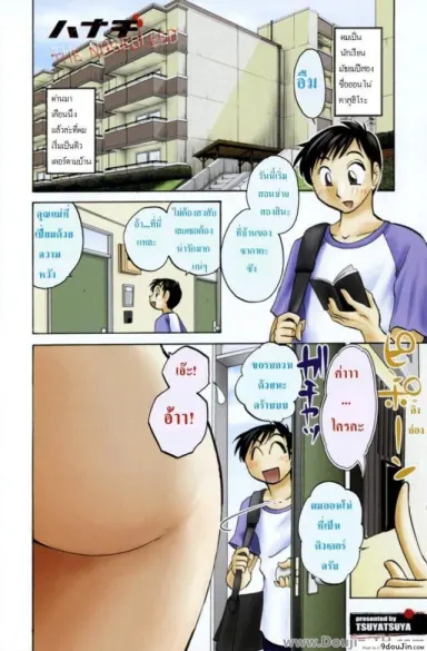 เห็นแล้วกำเดาไหล [Tsuyatsuya] The Nosebleed อ่านฟรี