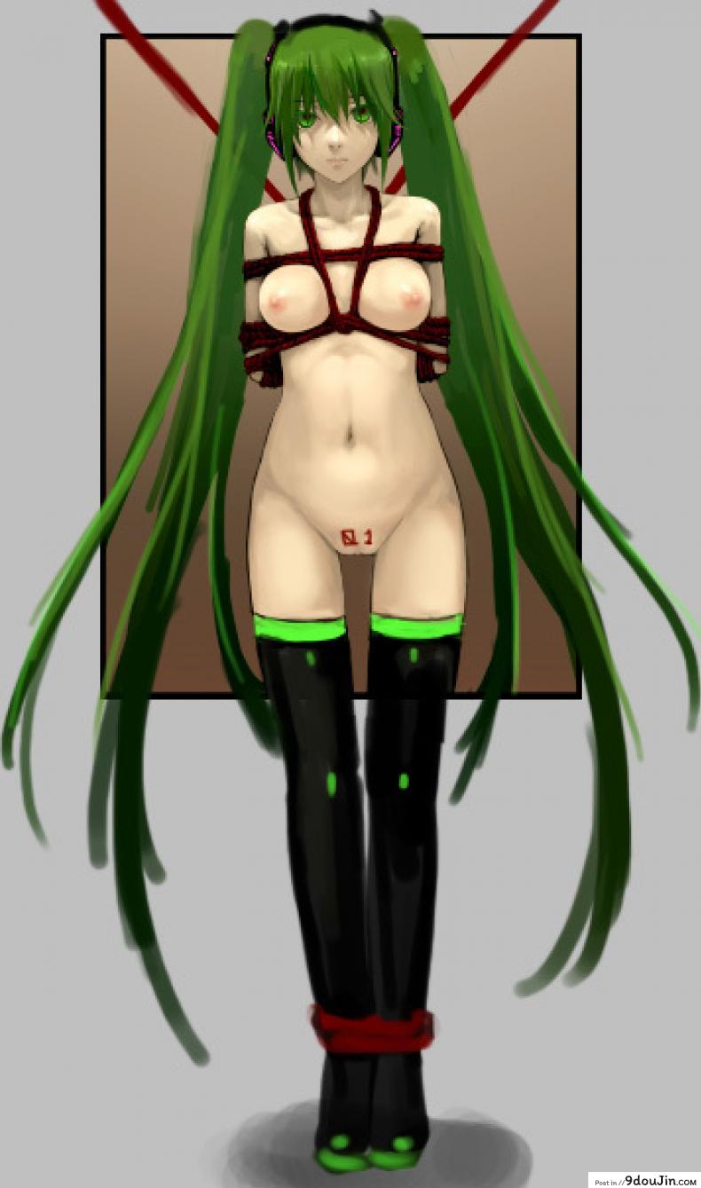 อ่านโดจิน หนูมิกุ เจอศึกหนัก [As109] Kinbaku Hatsune Ningyou (Vocaloid) อ่านฟรี หน้าที่ 12