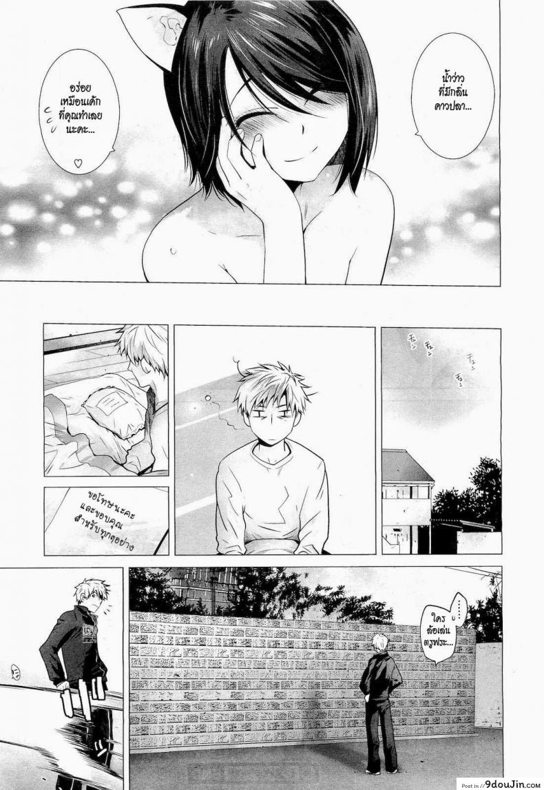 อ่านโดจิน รักเหมียวๆ ขอเกี่ยวหัวใจ [Ootsuka Kotora] Lespedeza (COMIC MEGASTORE 2011-05) แปลไทย หน้าที่ 19