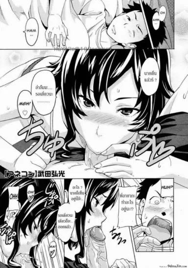 Tsundero LN [Takeda Hiromitsu] แล้วนายจะเลือกคนไหน แปลไทย