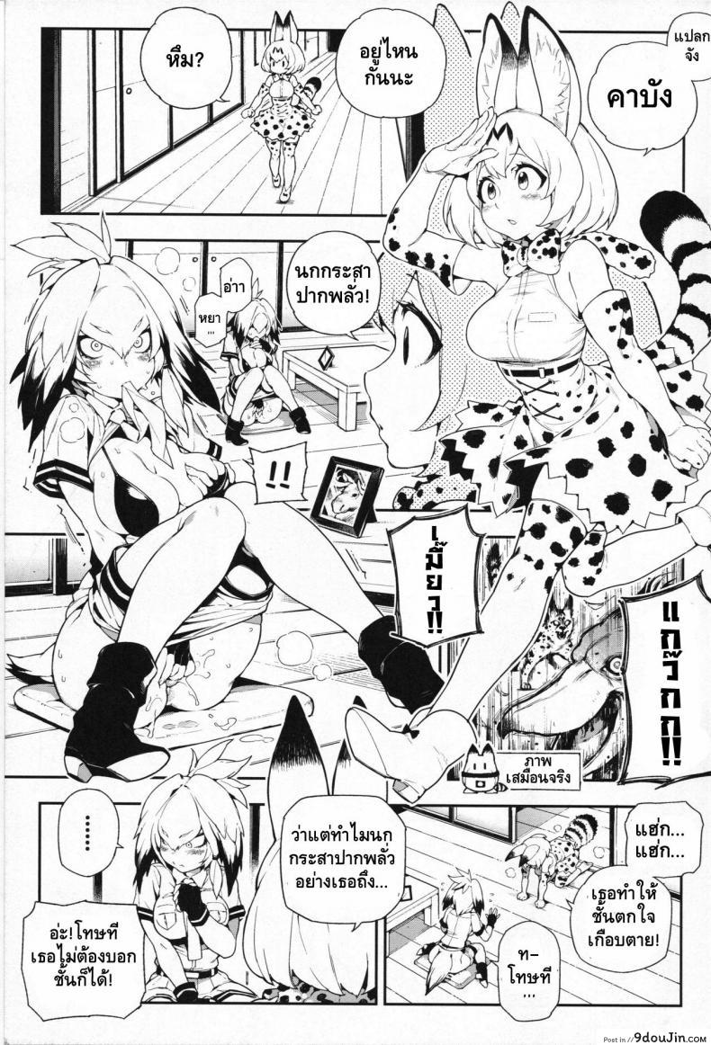 อ่านโดจิน สาวสัตว์ป่านักล่าจิ้น (FF30) [Bear Hand (Fishine, Ireading)] BEAST FRIENDS (Kemono Friends) แปลไทย หน้าที่ 3