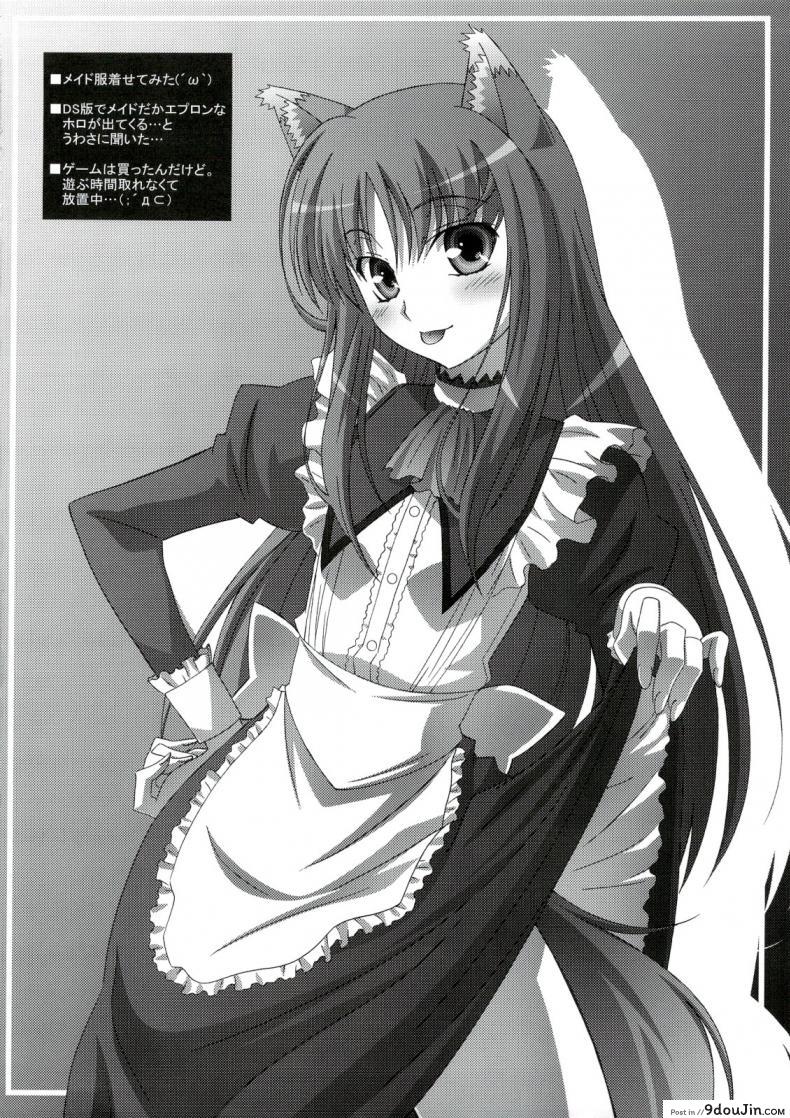 อ่านโดจิน Horon Hororon (Ookami to Koushinryou) [Mahirutei (Izumi Mahiru)] (C74) แปลไทย หน้าที่ 27