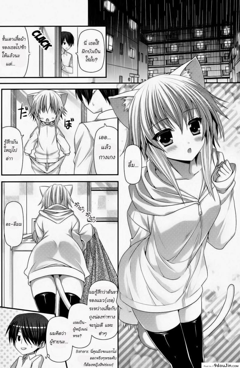 อ่านโดจิน สาวน้อยหูแมว [Suigetsu Arumi] Lonely Cat (Comic Potpourri club 12-2012) หน้าที่ 2