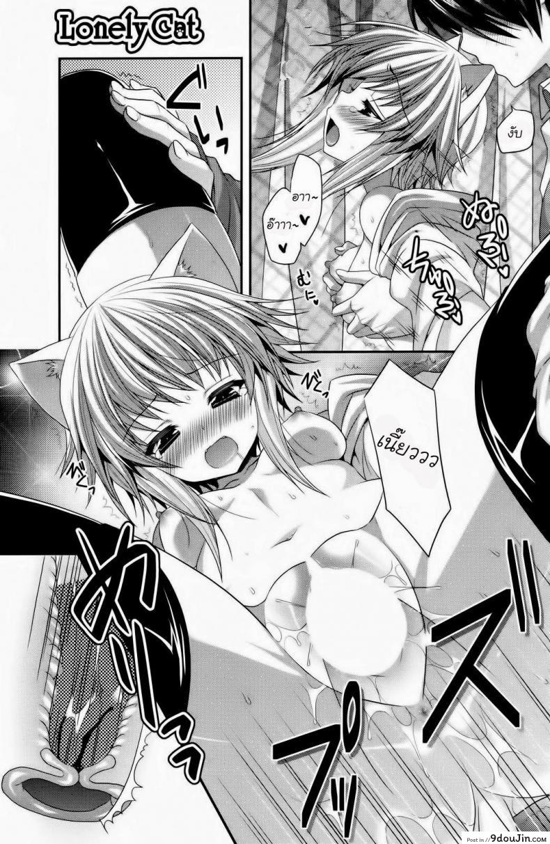 อ่านโดจิน สาวน้อยหูแมว [Suigetsu Arumi] Lonely Cat แปลไทย หน้าที่ 13