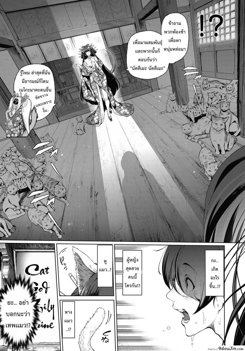 อ่านโดจิน ให้เทพแมวช่วยรีดน้ำ [Suzuhane Suzu] Boy Meets Nyaa God | Boy meets Cat Goddess (COMIC ExE 04) หน้าที่ 3