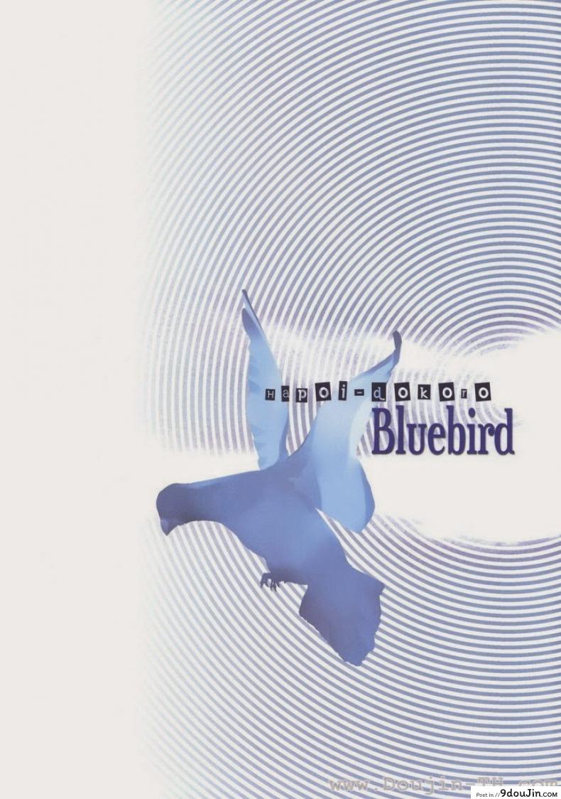 อ่านโดจิน อีวานเกเลียน – นกสีน้ำเงิน (C77) [Hapoi-dokoro (Okazaki Takeshi)] Bluebird แปลไทย หน้าที่ 23