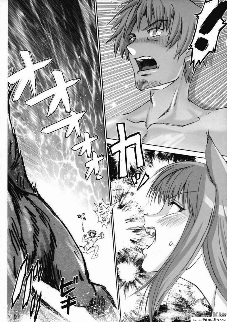อ่านโดจิน ถนนสายหมาป่า [FAKKU] Wolf and Spice – Wolf Road อ่านฟรี หน้าที่ 19