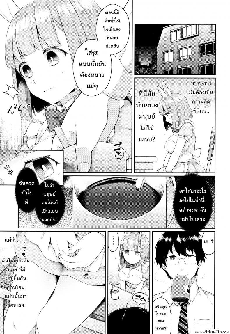 อ่านโดจิน แอ้มสาวหูกระต่าย [majoccoid] Rabbit Hole อ่านฟรี หน้าที่ 5