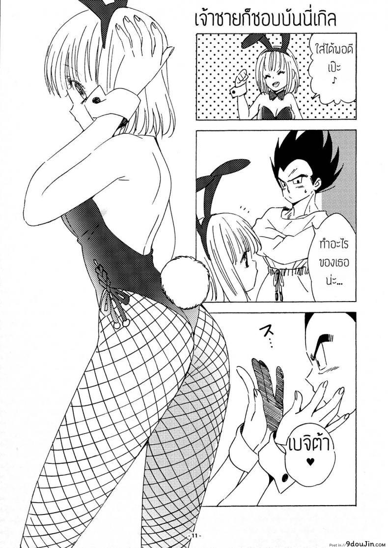 อ่านโดจิน ของขวัญวันแต่งงาน [S-FLAKE (Yukimitsu)] DRAGON NIGHT2 (Dragon Ball Z) อ่านฟรี หน้าที่ 10