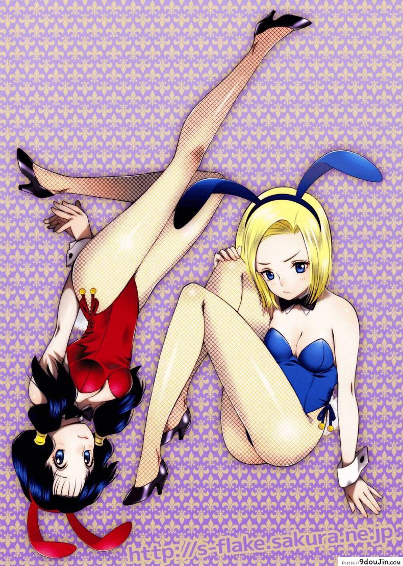 อ่านโดจิน ของขวัญวันแต่งงาน [S-FLAKE (Yukimitsu)] DRAGON NIGHT2 (Dragon Ball Z) อ่านฟรี หน้าที่ 14