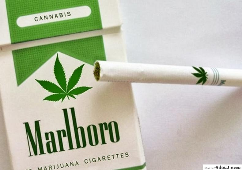 หยุดเวลาสายควัน [Ochi Gento] Stop Smoking