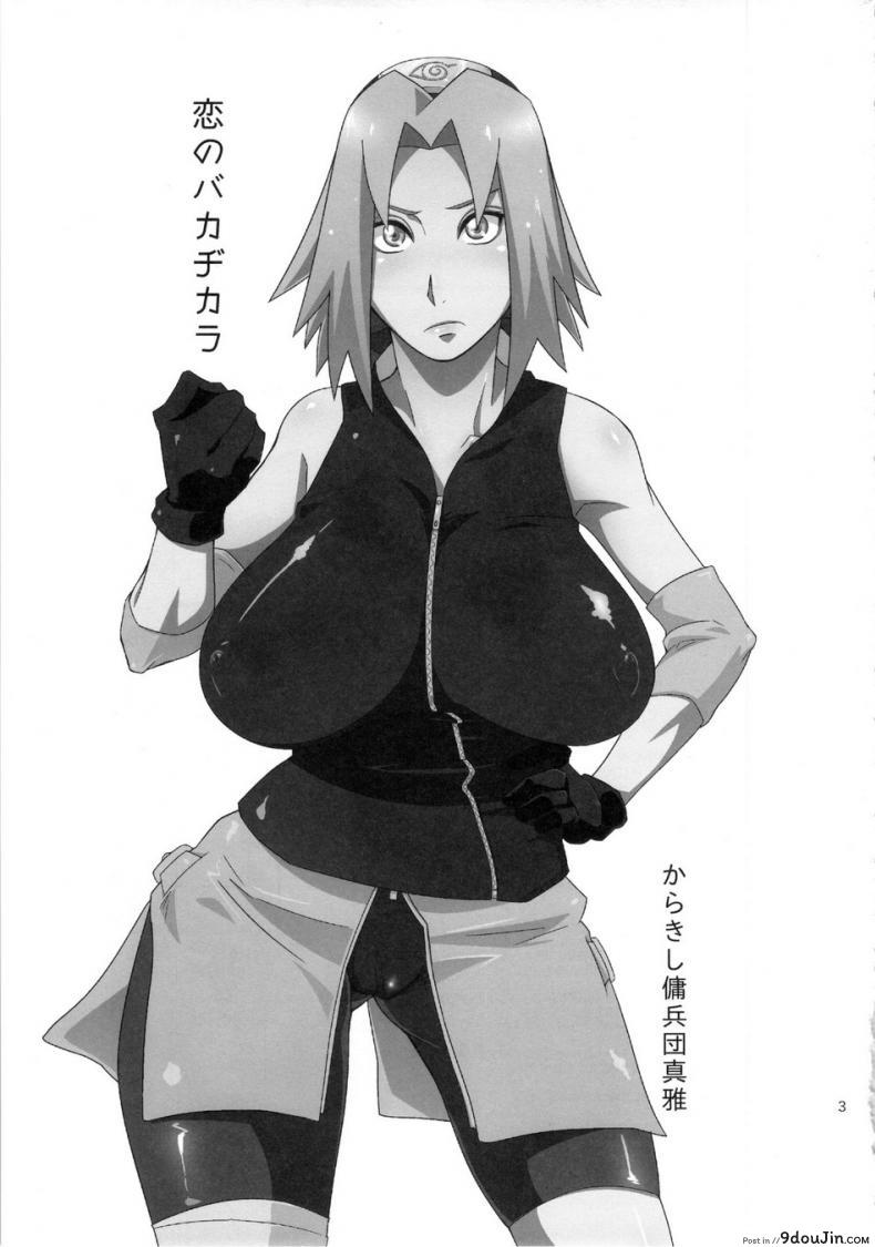 อ่านโดจิน ภารกิจต้องเสร็จ (HaruCC18) [Karakishi Youhei-dan Shinga (Sahara Wataru)] Koi no Bakadikara | Brute Force of Love หน้าที่ 2