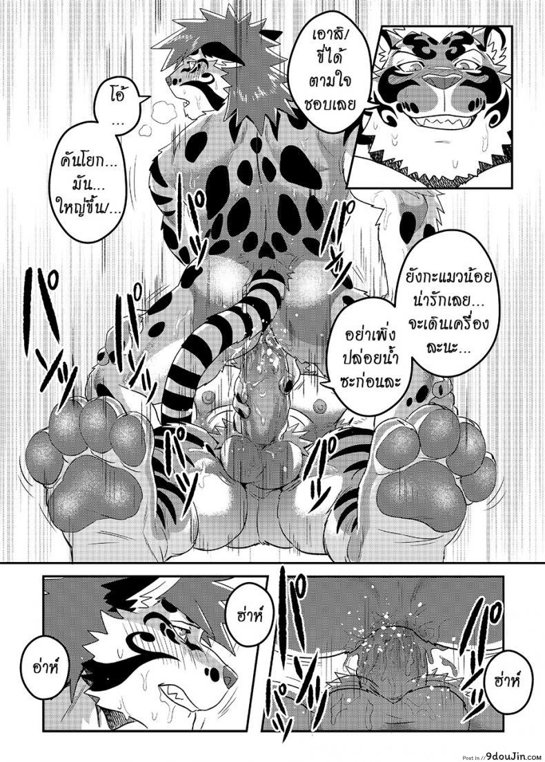 อ่านโดจิน มาผ่อนคลาย กันหน่อยสิ [WILD STYLE (ROSS)] Nekojishi EXTRA แปลไทย หน้าที่ 17