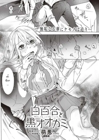 [Moegi] white lily and black walf แปลไทย