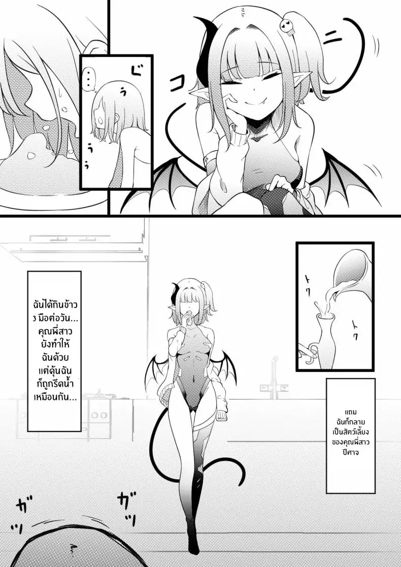 อ่านโดจิน Succubus Breeder [Permission (Zandoro)] แปลไทย หน้าที่ 12