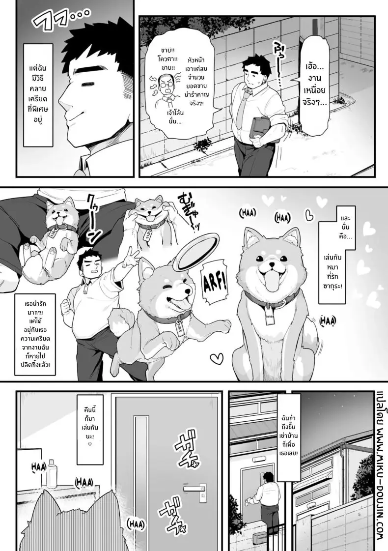 อ่านโดจิน หนุ่มใหญ่กับน้องหมาที่เปลี่ยนร่างได้ [Kanabun] Sakura to Asobo! ~Chiccha Kawaii Joshi ni Henshin shita Aiken to Wanwan Koubi Therapy~ หน้าที่ 2