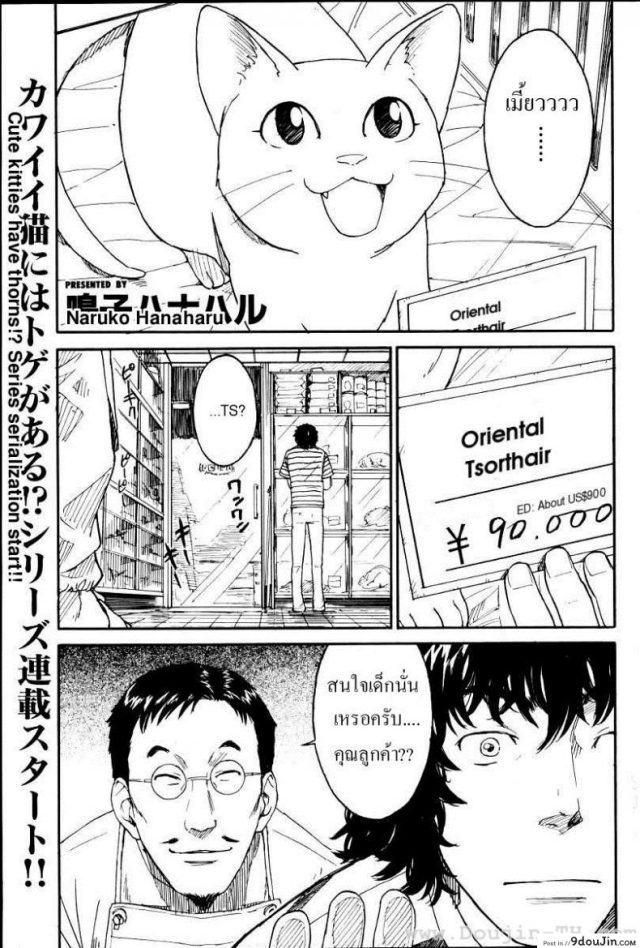 เนเนะ นางแมวสาว [Naruko Hanaharu] Nene แปลไทย ภาค 1
