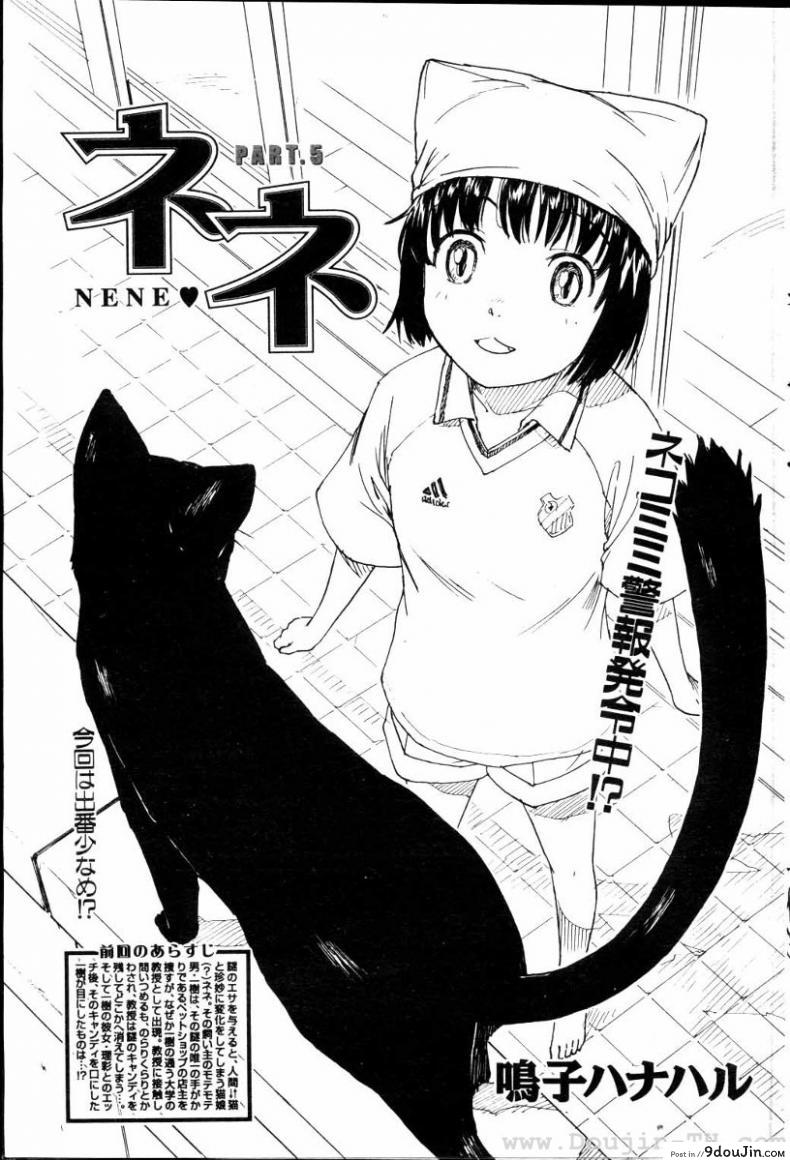 เนเนะ นางแมวสาว [Naruko Hanaharu] Nene ภาค 5 แปลไทย