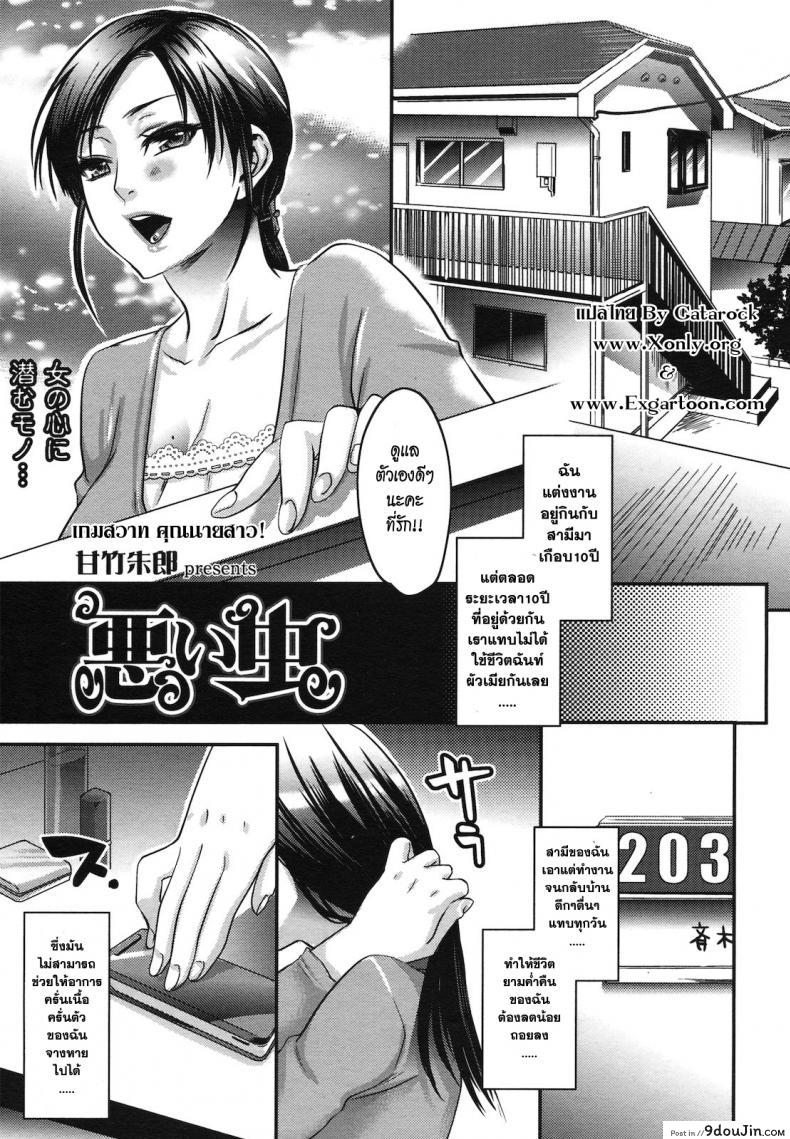 เกมสวาท คุณนายสาว [Amatake Akewo] Aisare Shouwaru Love Bitch -My Lovely Bitch- แปลไทย