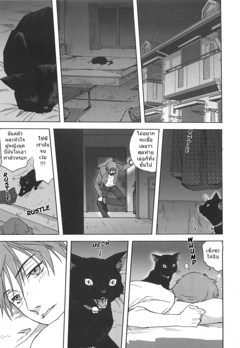 เป็นชั้นได้ซิน่ะ [Mitarashi kousei] Black Cat Crossing แปลไทย